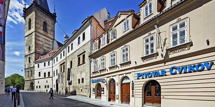 Půllitr piva Cvikov v restauraci Sladovna ve Vodičkově ulici: na výběr 5 druhů vč. Sváteční 13°