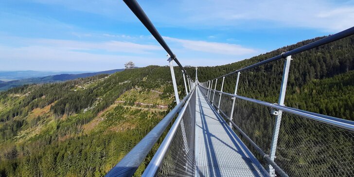 Výlet na Dolní Moravu: nejdelší visutý most na světě, Stezka v oblacích i další atrakce