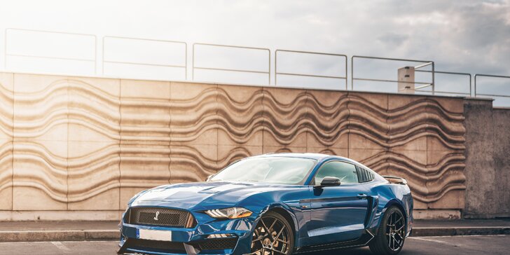 Zkroťte Mustanga: 20–50 min. řízení či spolujízdy nebo zapůjčení na 12 hod. bez instruktora