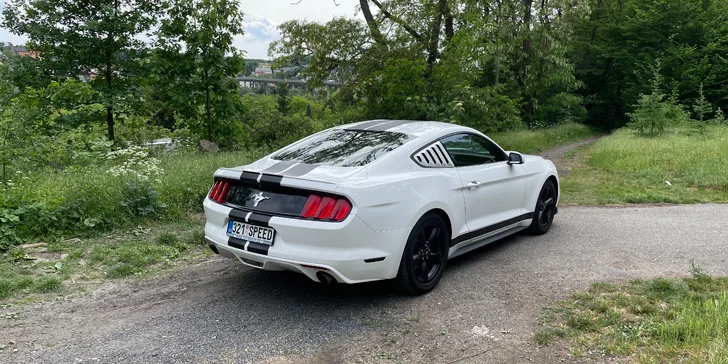Zážitková jízda ve Fordu Mustang 3.7 V6 coupe na 12 či 24 hodin