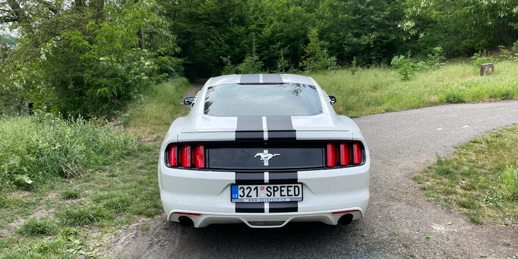 Zážitková jízda ve Fordu Mustang 3.7 V6 coupe na 12 či 24 hodin