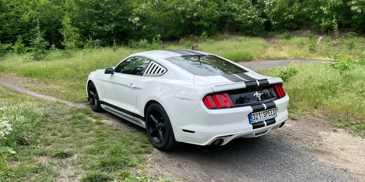 Zážitková jízda ve Fordu Mustang 3.7 V6 coupe na 12 či 24 hodin