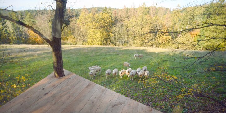 Romantika s výhledem na ovčí pastvu: treehouse s krásným krbem jen pro vás dva