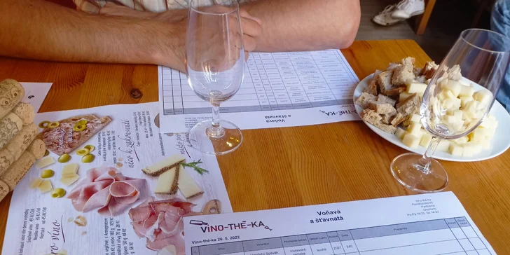 Řízená degustace vín pro 1 nebo 2 osoby: 10 vzorků, podrobný výklad i občerstvení