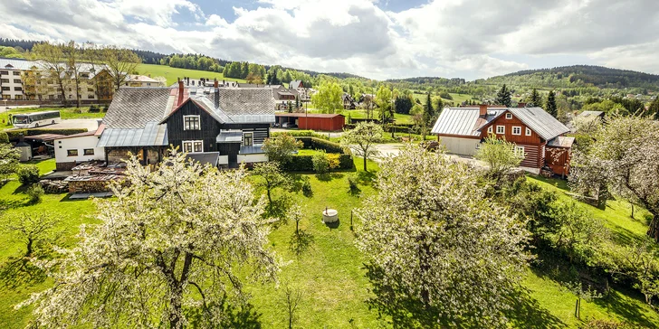 Aktivní dovolená v Krkonoších pro rodiny s dětmi nebo přáteli v pohodlném apartmánu