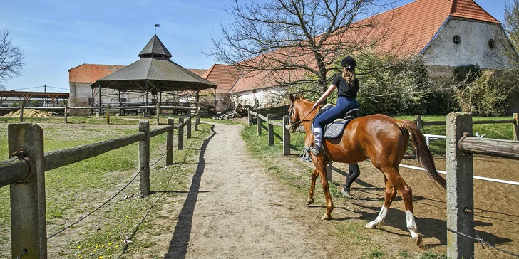 Pobyt na farmě kousek od Znojma: 2 noci až 14 dní i se snídaní či polopenzí a projížďkou v koňském sedle