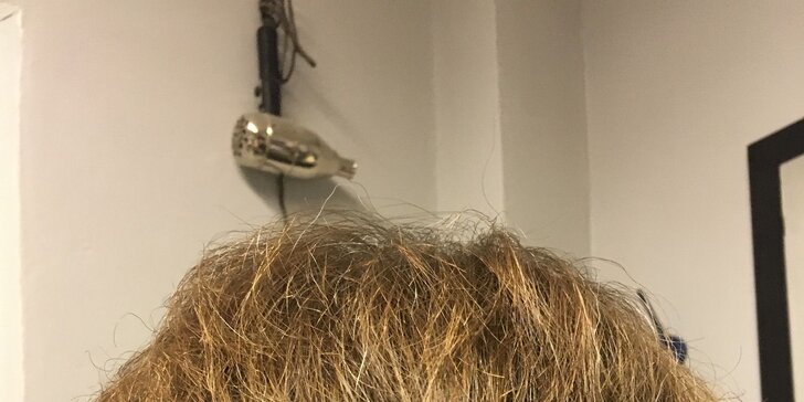 Péče o vlasy v Holešovicích: střih s barvením, mikromelír i air touch nebo prodloužení vlasů