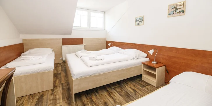 Rodinný pobyt na Bublavě v Krušných horách: pohodový baby friendly hotel se snídaní