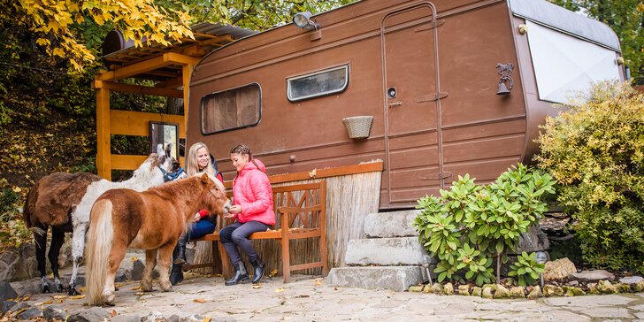 Pobyt se snídaní mezi zvířátky v rančerském karavanu, maringotce nebo chatce s možností vyjížďky na koních