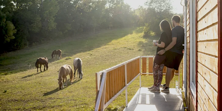 Pobyt se snídaní mezi zvířátky v rančerském karavanu, maringotce nebo chatce s možností vyjížďky na koních