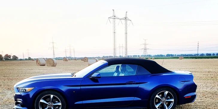 Nadupaný Ford Mustang Cabrio: zapůjčení na 15–60 minut nebo až celý den