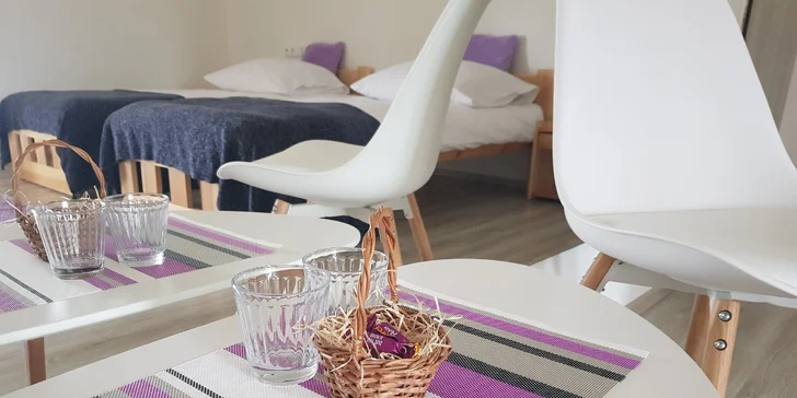 Pobyt se snídaní v útulném penzionu u Tábora s vinotékou a saunou