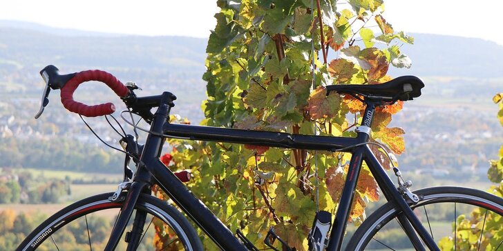 Venkovní úniková hra na kole: vinařská cykloexitovka krajinou Modrých hor
