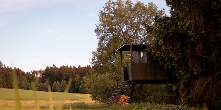 Samota a klid přímo u rybníka v posedu na Vysočině: minimalistický design a vůně dřeva