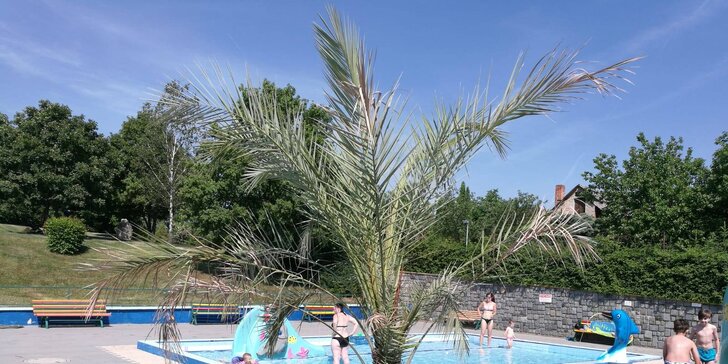 Užijte si léto u vody: celodenní vstup na koupaliště Slavkov pro dospělé i rodinu