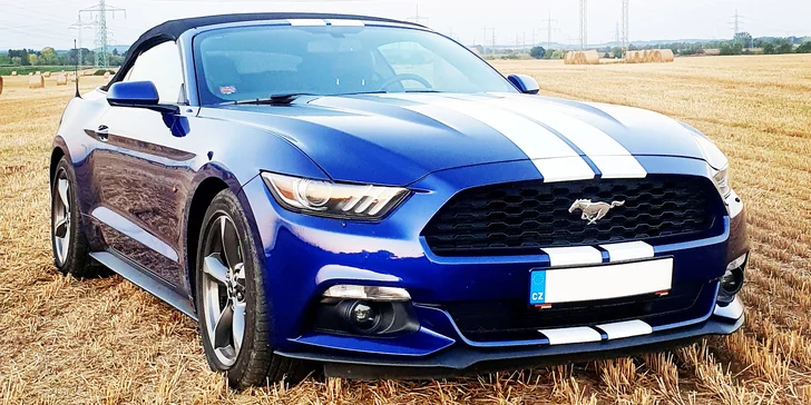 Nadupaný Ford Mustang Cabrio: zapůjčení na 15–60 minut nebo až celý den