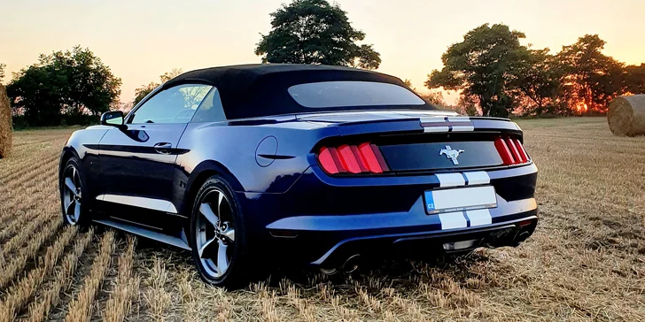 Nadupaný Ford Mustang Cabrio: zapůjčení na 15–60 minut nebo až celý den