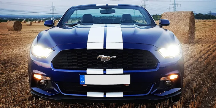 Nadupaný Ford Mustang Cabrio: zapůjčení na 15–60 minut nebo až celý den