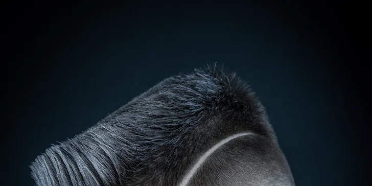 Barber péče pro chlapy: střih, úprava vousů, masáž, styling i závěrečné foto