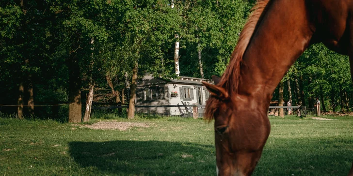 Chata na ranči v podhůří Beskyd: plně vybavená vč. kuchyňky, terasa s výhledem na koně