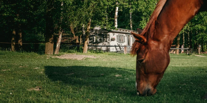 Chata na ranči v podhůří Beskyd: plně vybavená vč. kuchyňky, terasa s výhledem na koně