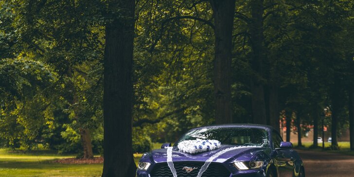 S větrem ve vlasech: 1–48 hodin nebo i celý víkend v elegantním Fordu Mustang Cabrio