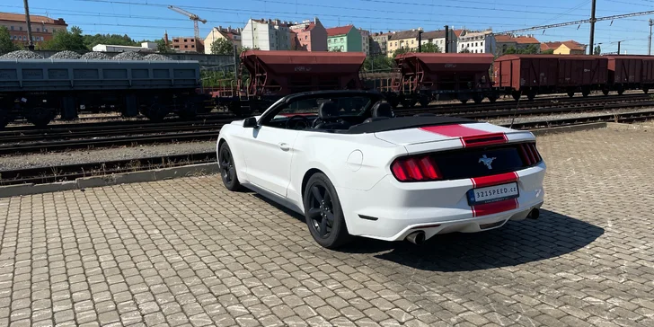 Ford Mustang 3.7 V6 Cabrio na 12 či 24 hodin