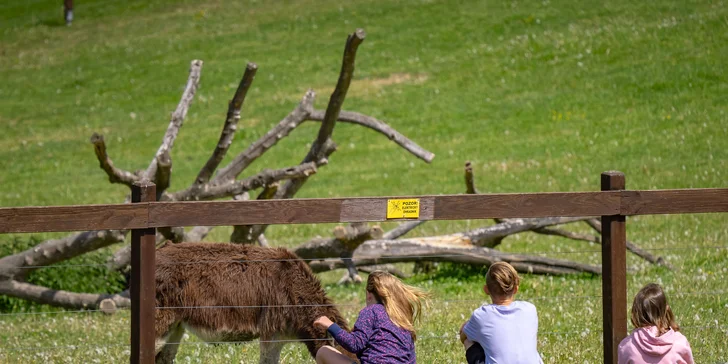 Celodenní vstup do Farmaparku včetně všech atrakcí a kyblík krmení nebo plyšák