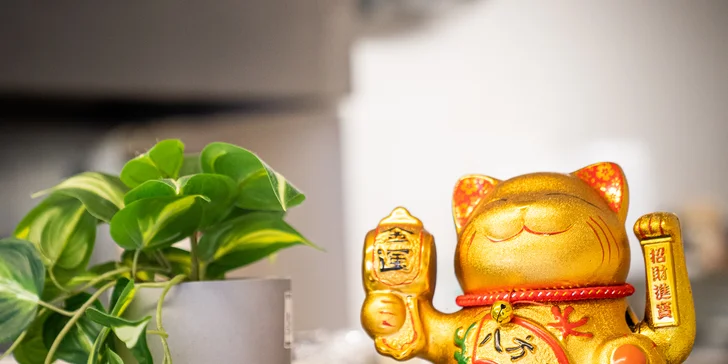 Pochutnejte si na sushi v srdci Brna: 30–38 ks v bistru s otevřenou kuchyní, i vegan set