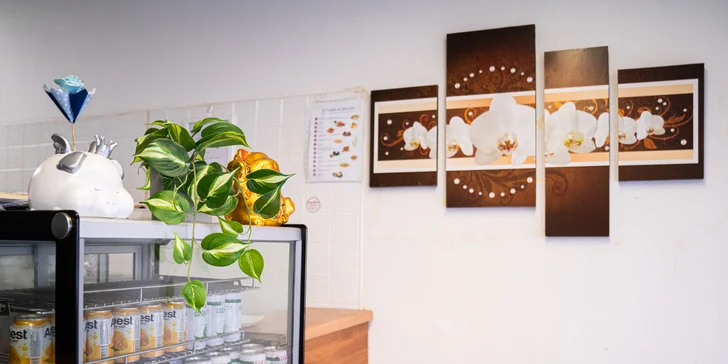 Pochutnejte si na sushi v srdci Brna: 30–38 ks v bistru s otevřenou kuchyní, i vegan set