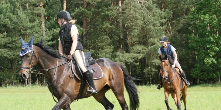 Pohlédněte na svět z koňského hřbetu: 45 či 90minutová vyjížďka v přírodě