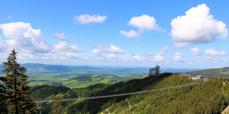 Výlet na Dolní Moravu: nejdelší visutý most na světě, Stezka v oblacích i další atrakce