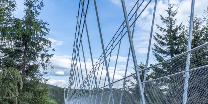 Výlet na Dolní Moravu: nejdelší visutý most na světě, Stezka v oblacích i další atrakce