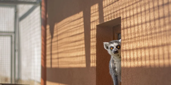 Celodenní vstupné do zábavního parku Bylandia: největší soukromá zoo, dětské hřiště i lanové centrum