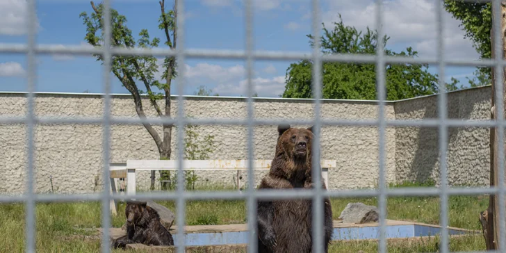 Celodenní vstupné do zábavního parku Bylandia: největší soukromá zoo, dětské hřiště i lanové centrum