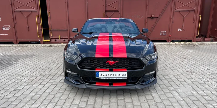 Ford Mustang GT 5.0 V8 Cabrio na 12 či 24 hodin