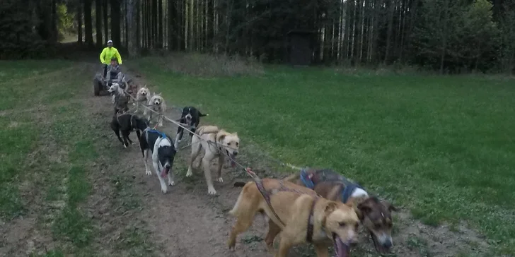Nezapomenutelná jízda se psím spřežením na čtyřkolce