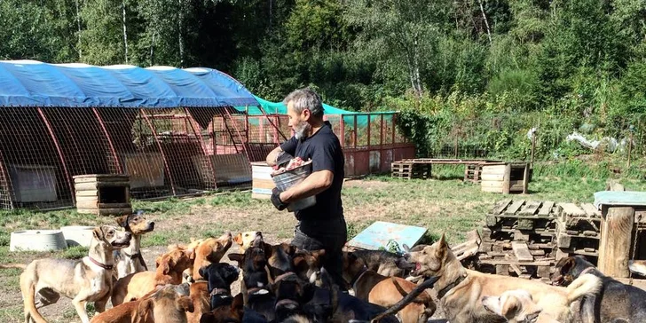 Nezapomenutelná jízda se psím spřežením na čtyřkolce