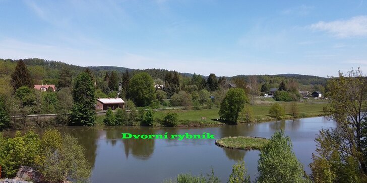 Dvorní rybník v obci Lvová: povolenka ke sportovnímu rybolovu na 1 den