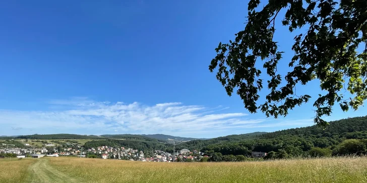 Pobyt v komfortní chatě vč. neomezeného využití wellness sudu s minerální vodou, terasou a grilem pro 2 až 8 osob