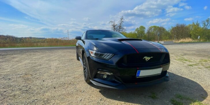 Žihadlo Mustang GT 5.0 V8: 30 min. spolujízdy nebo až hodina řízení