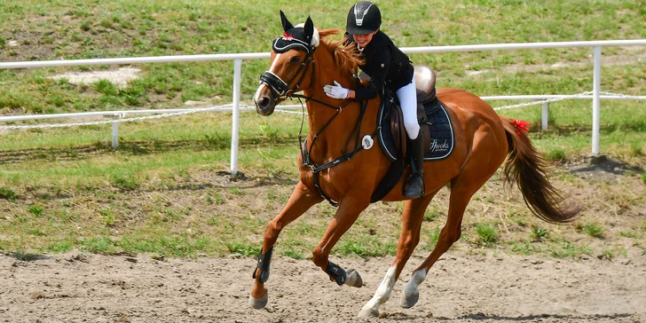 Individuální drezurní trénink i lekce pro dospělého i dítě: jízda na koni v nové kryté hale