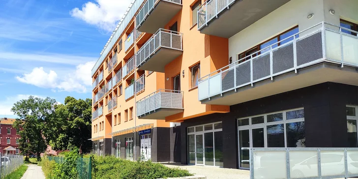 Masáže v délce 30 až 120 minut: šíje, záda i celé tělo nebo protimigrénová masáž hlavy a šíje