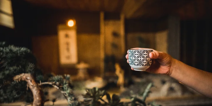 2hod. veřejný vstup do japonského wellness: vyhřívaný bazén, sauna, bar s lucernami a bambusem aj.