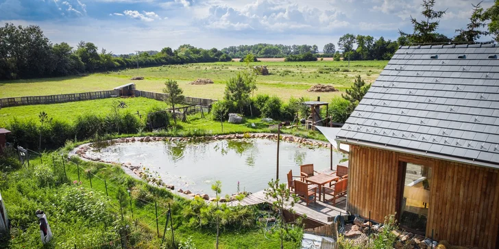 Komfort v sepětí s přírodou Polabí: domek s noclehem až pro 14 osob, biotop i sauna