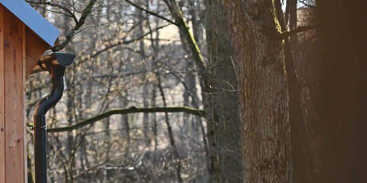 Dovolená v lese, u louky a potoka: jaro a léto v chatě Roklinka až pro 4 osoby
