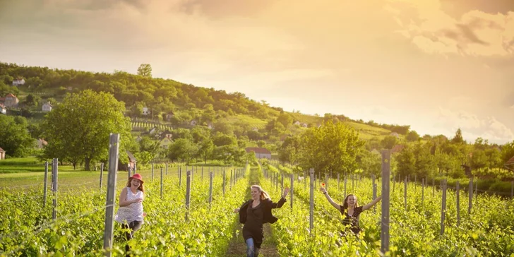 Rakouský Weinviertel: pobyt se polopenzí, piknikem a degustací vín, půjčením e-kol i wellness