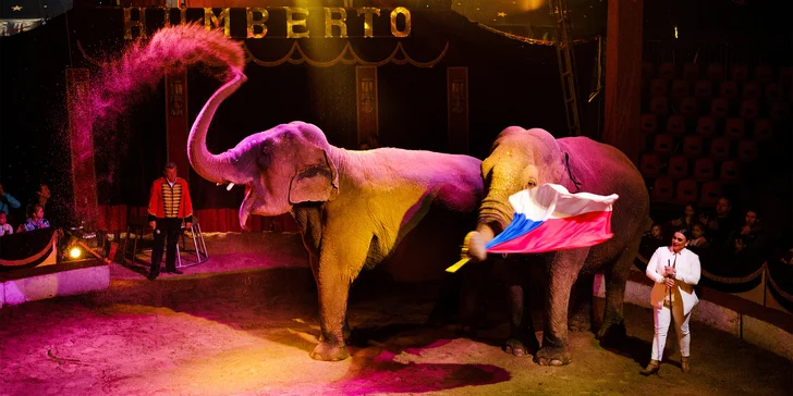 Hurá do Cirkusu Humberto na zbrusu novou show: akrobati, klauni i exotická zvířata v Praze