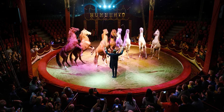 Hurá do Cirkusu Humberto na zbrusu novou show: akrobati, klauni i exotická zvířata v Praze