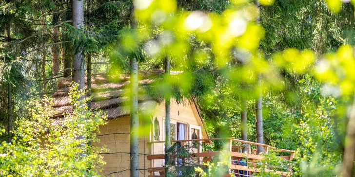 Bydlení v treehousu u lesa nebo rybníku na severu Čech a piknikový koš se snídaní